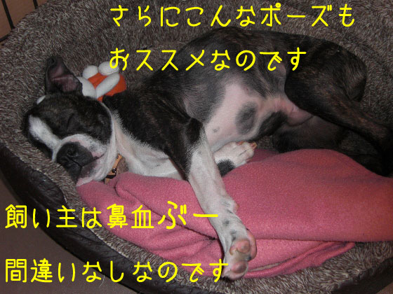 a0190132_0104260.jpg