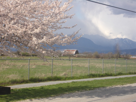 Move from Boundary Bay Airport to Home Base_a0025444_1305411.jpg