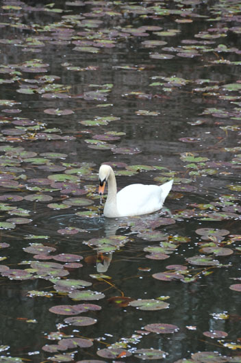 奥卯辰山健民公園_c0093046_12494017.jpg