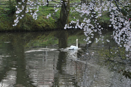 奥卯辰山健民公園_c0093046_1250243.jpg