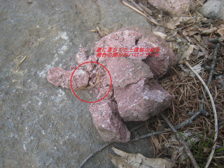 b0126549_98041.jpg