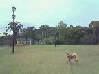 e0171951_2102638.jpg