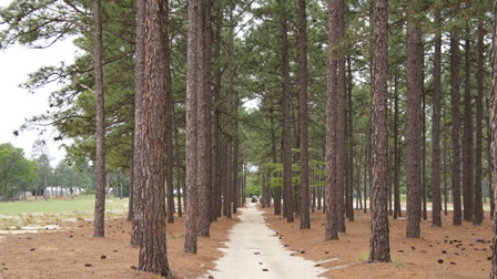 2011年4月22日　Pinehurstの熱狂_a0064654_4223186.jpg