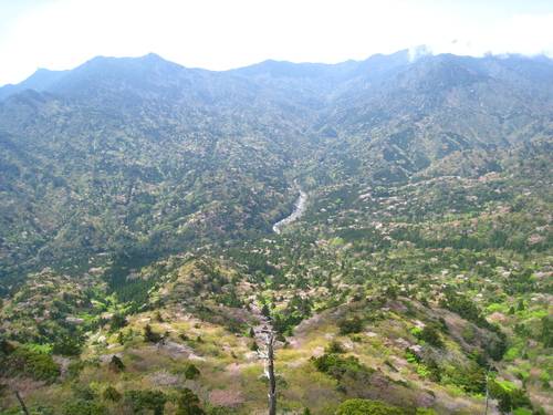 b0160957_151032.jpg