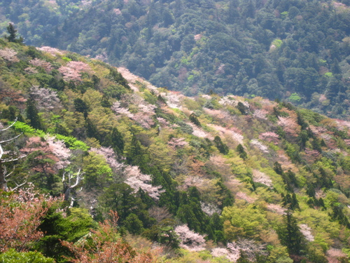 b0160957_15124673.jpg