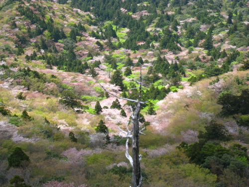 b0160957_15143945.jpg