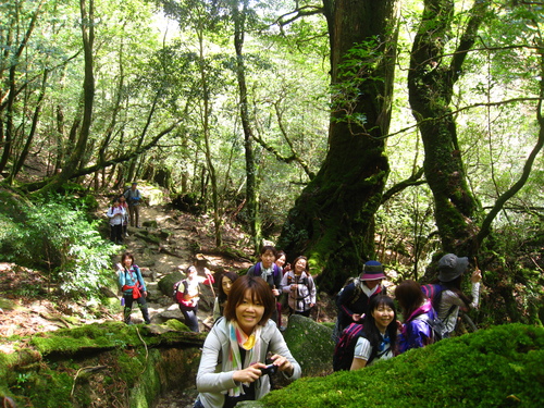 b0160957_158320.jpg