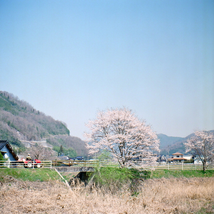 c0136759_0321966.jpg