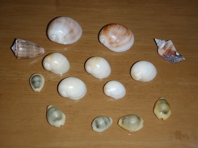 c0180460_152620.jpg