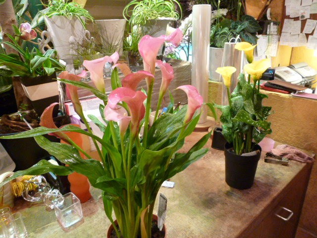 c0100865_2271791.jpg