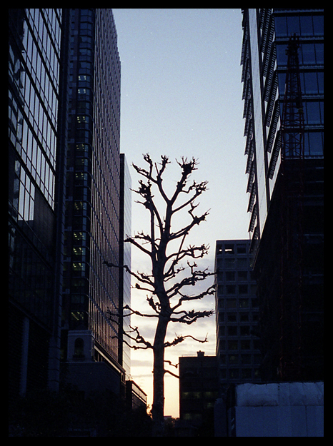 丸の内夕景_c0141967_22263246.jpg