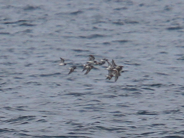 a0146869_22292442.jpg