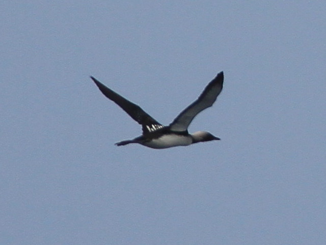 a0146869_2230764.jpg