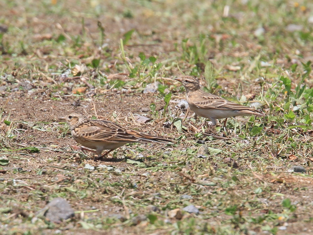 a0146869_2233653.jpg