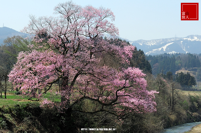 今の気持ち（写真追加編）_f0052569_5513786.jpg