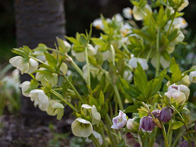 c0008502_16372715.jpg