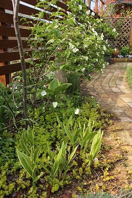 a0123003_11215287.jpg