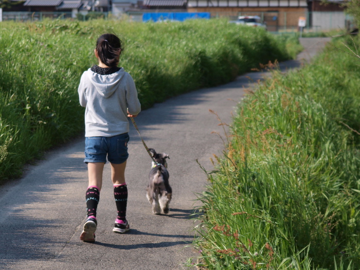 今日のぴぃさんとあん_b0131803_21403837.jpg