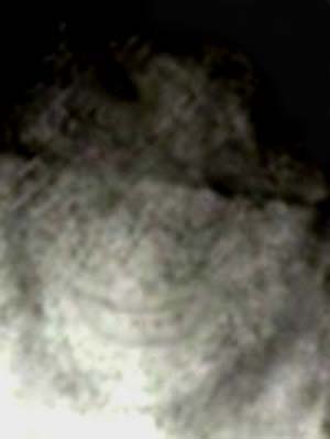 e0103408_024392.jpg