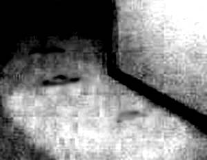 e0103408_0354688.jpg