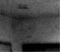e0103408_0363055.jpg