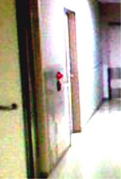 e0103408_0373525.jpg