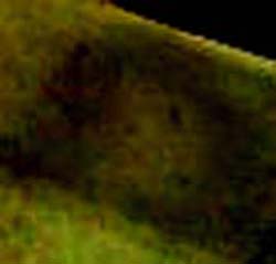 e0103408_037690.jpg