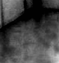 e0103408_0394940.jpg