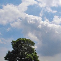a0152009_2238373.jpg