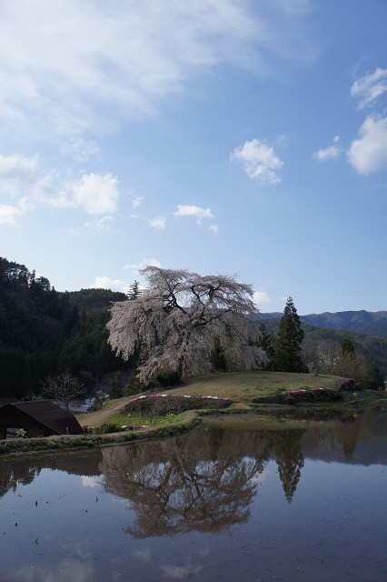 f0054610_22213556.jpg