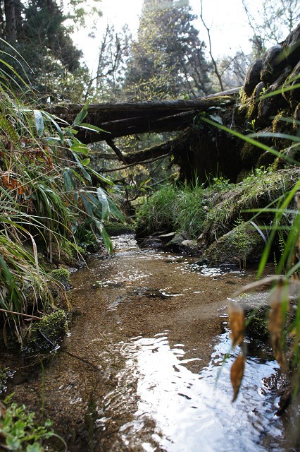 f0054610_22213962.jpg