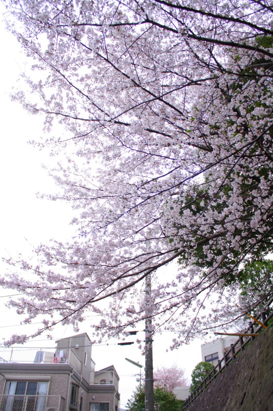 b0118511_19295647.jpg