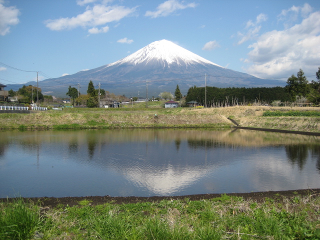 花の季節から萌黄色の季節へ_b0093221_1483317.jpg