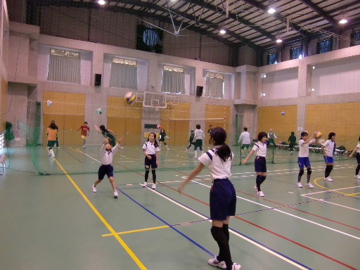 d0138226_1741567.jpg