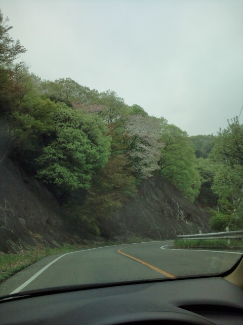 d0077029_19551296.jpg