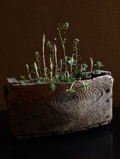 20110417.jpg