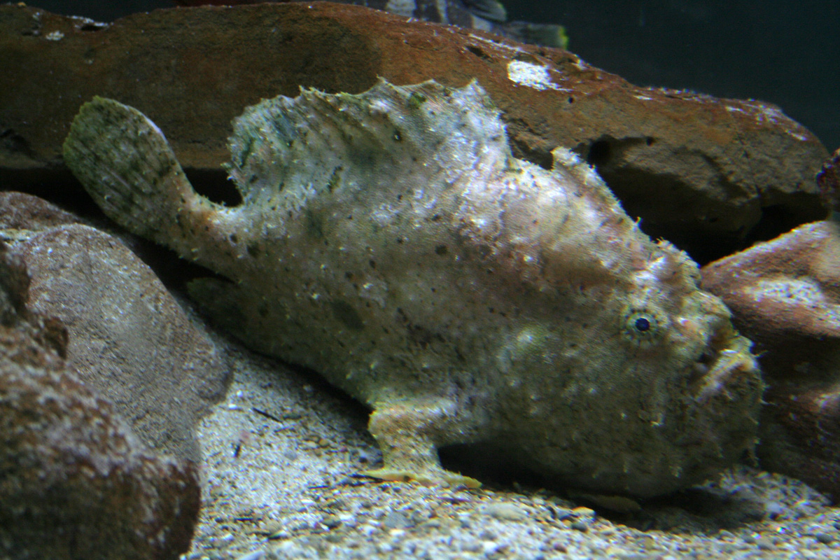 c0073633_22121212.jpg