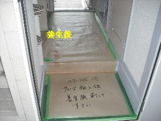 定期点検とハウスクリーニングと・・・_f0031037_2035129.jpg