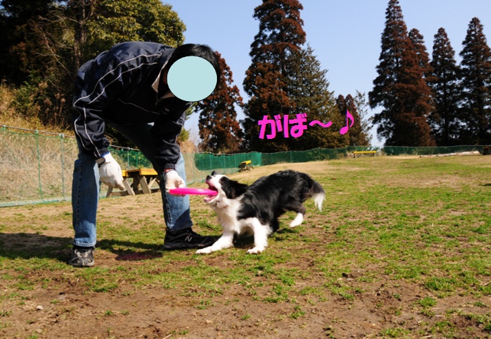 c0147241_2256277.jpg