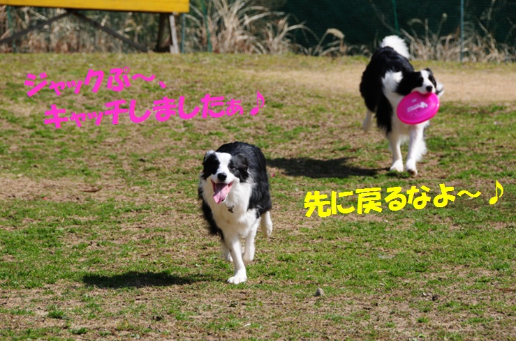c0147241_22563395.jpg