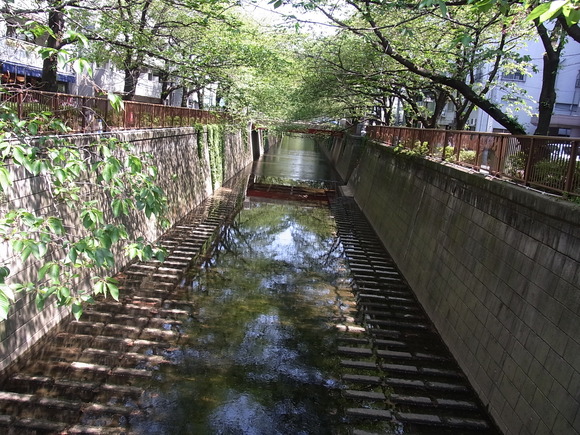 2011.4.24の風景_c0141046_22532282.jpg