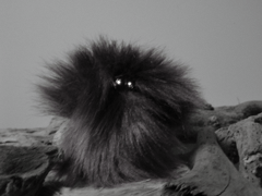 e0005548_23413935.gif
