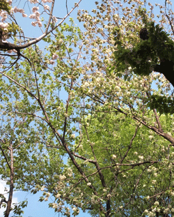 d0197949_1843694.gif
