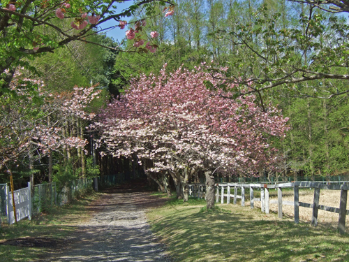 b0045357_13303798.jpg
