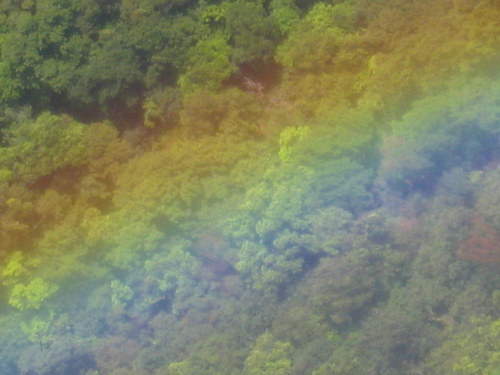 b0160957_650818.jpg
