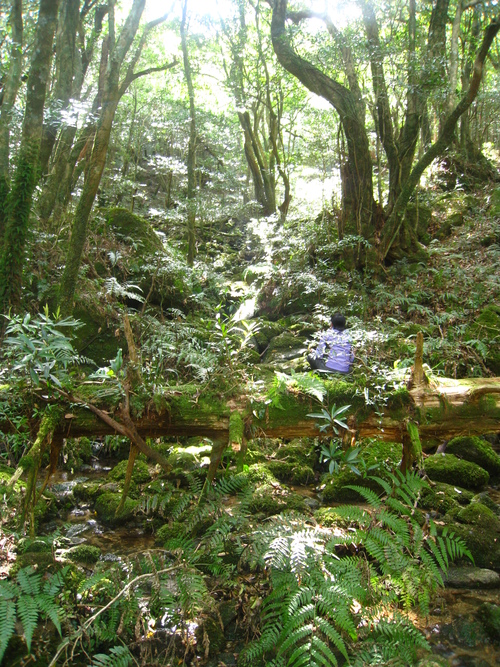 b0160957_6515583.jpg