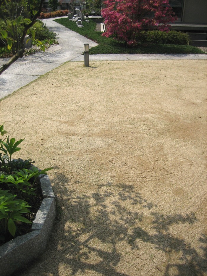 芝生の目砂入れ_d0161959_1962114.jpg
