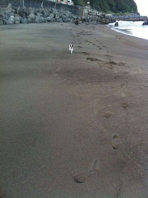 伊豆旅行３〜初海、イチゴ狩り〜_b0207161_11433292.jpg