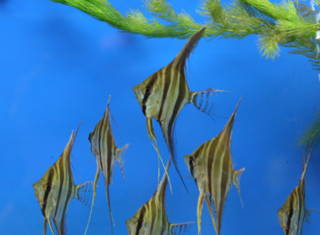 a0162263_2012464.jpg
