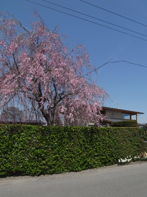 c0166668_6102023.jpg